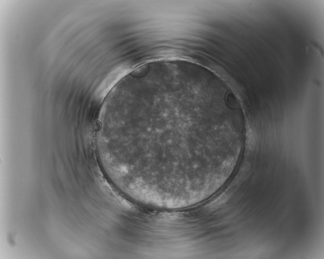 X0000103911385200810171655