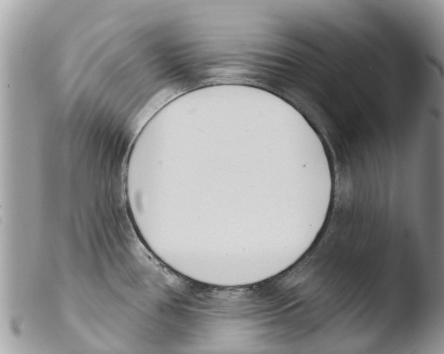 X0000103911386200810171655