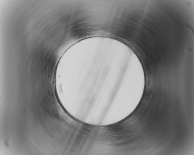 X0000103911387200810171655