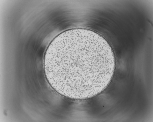 X0000103911388200810171655