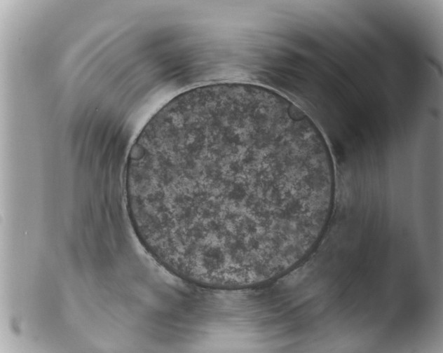 X0000103911389200810171655