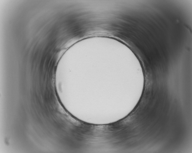 X0000103911390200810171655