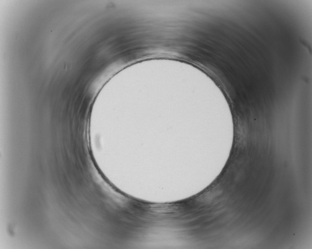 X0000103911391200810171655