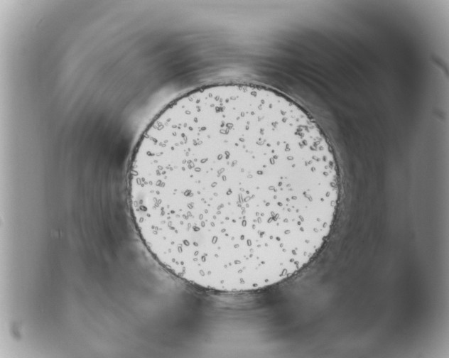 X0000103911392200810171655