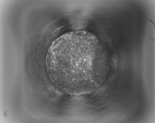 X0000103911393200810171654