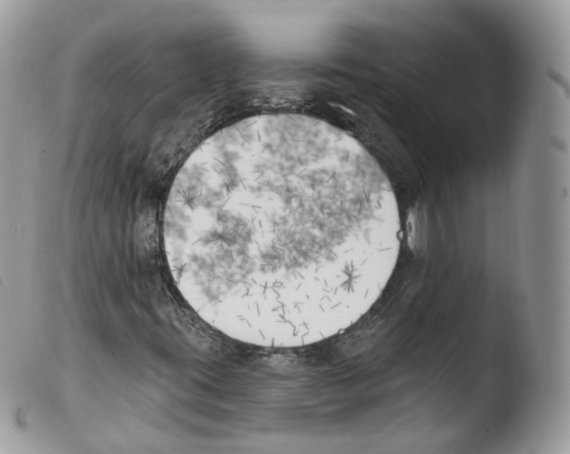 X0000103911395200810171654