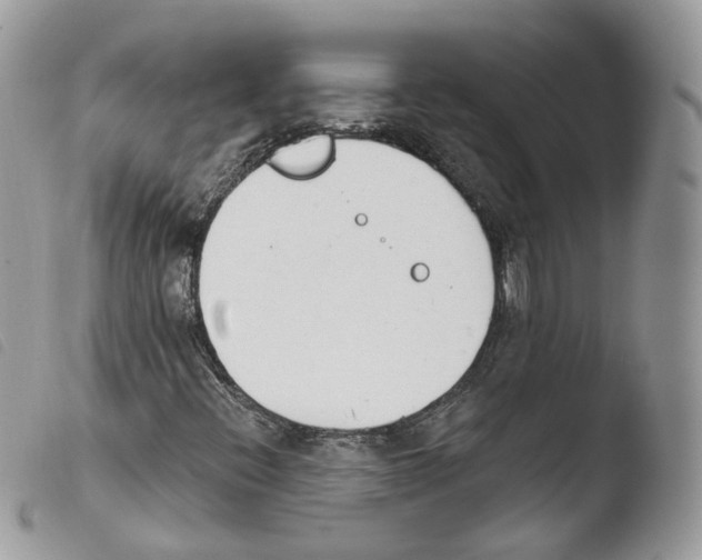 X0000103911396200810171654