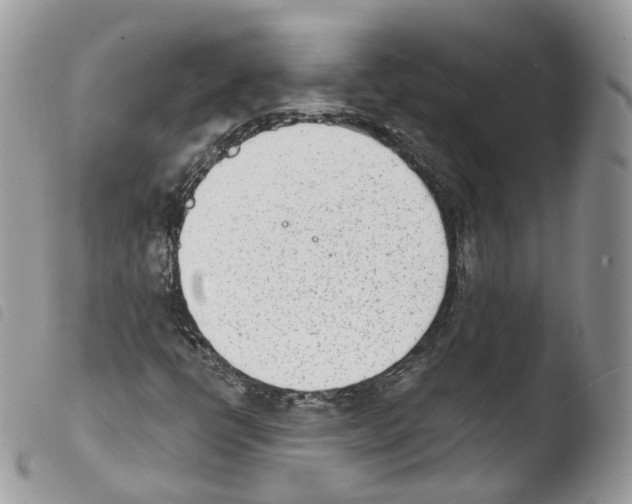 X0000103911398200810171654