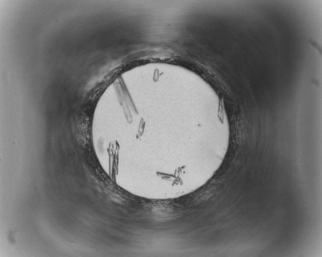 X0000103911399200810171654