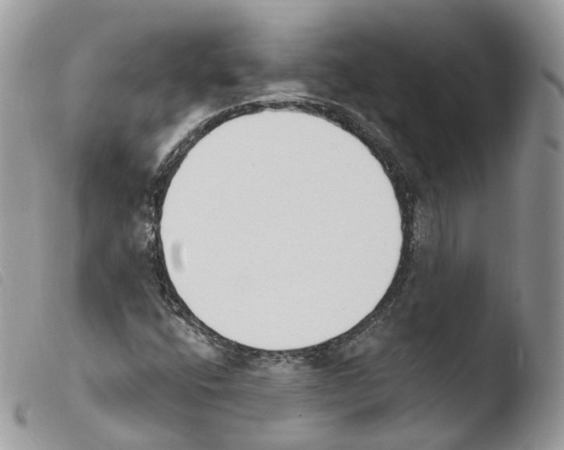 X0000103911400200810171654