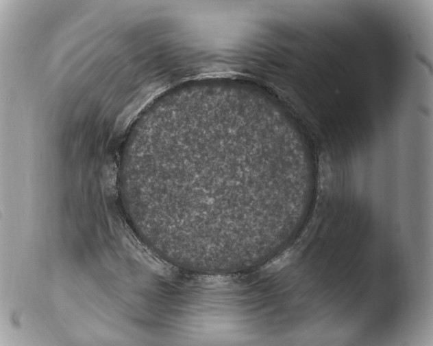 X0000103911401200810171654