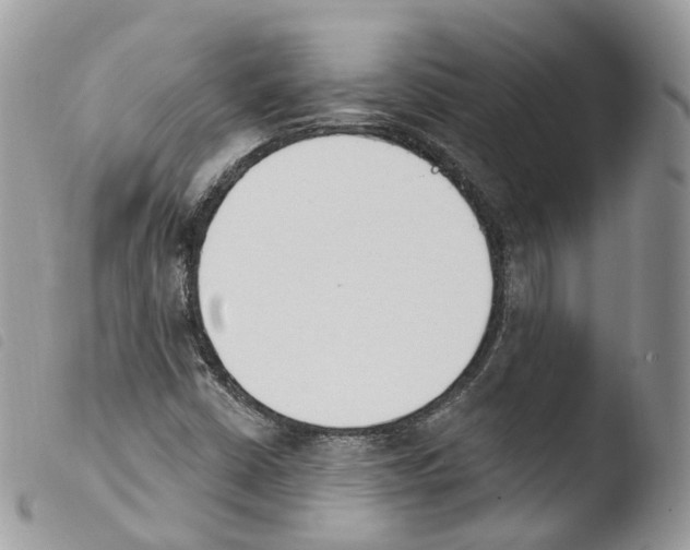 X0000103911402200810171654
