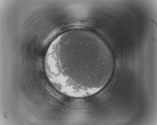 X0000103911403200810171654