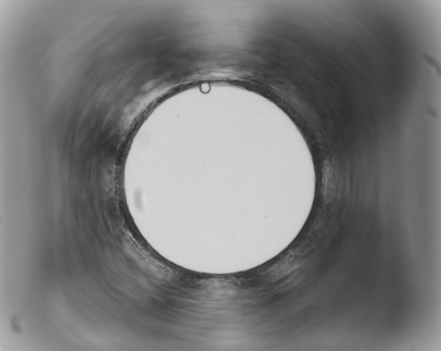 X0000103911404200810171654