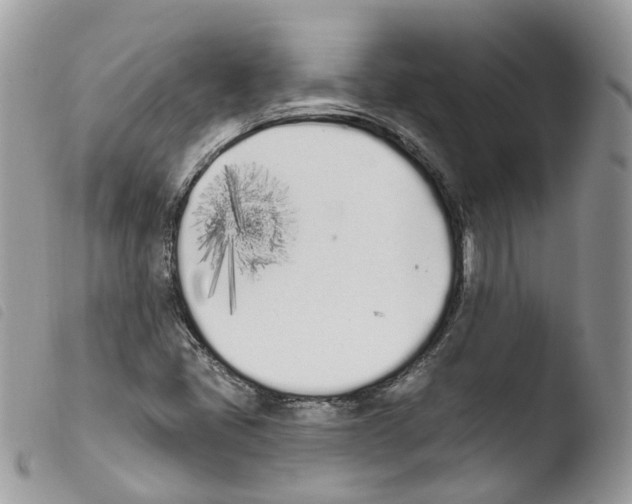 X0000103911405200810171654