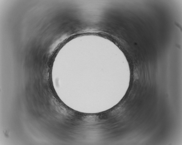 X0000103911406200810171654