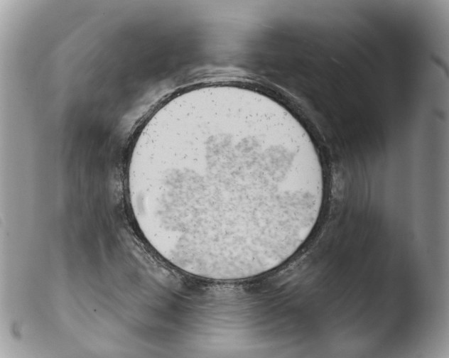 X0000103911407200810171654