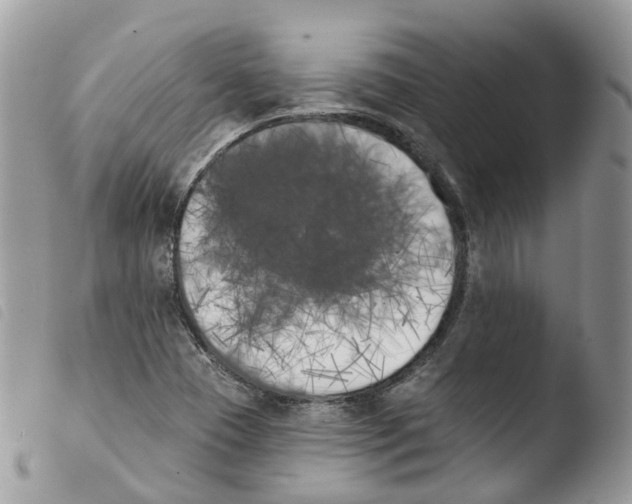 X0000103911409200810171654