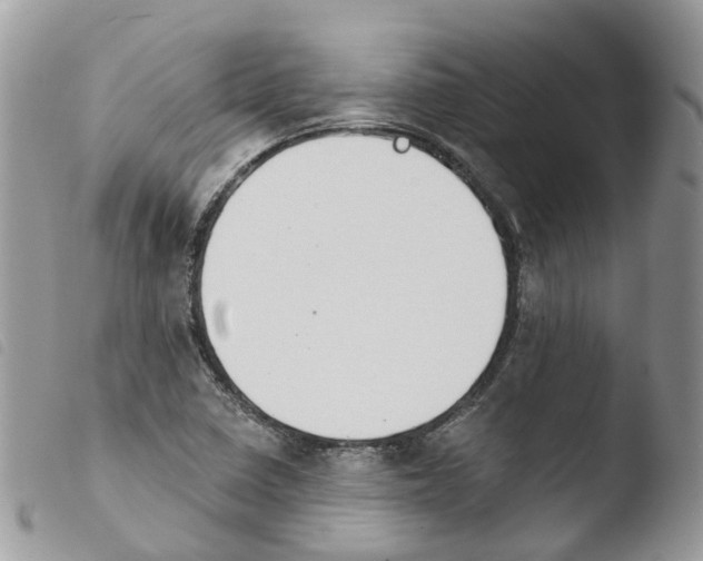 X0000103911410200810171654