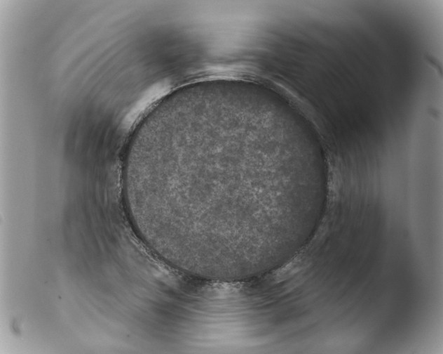 X0000103911411200810171654