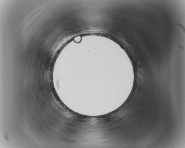 X0000103911412200810171654