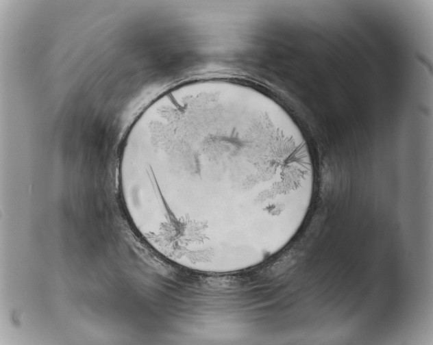 X0000103911413200810171654