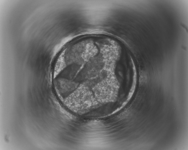 X0000103911414200810171654