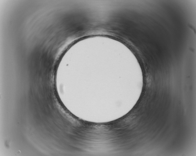 X0000103911416200810171654
