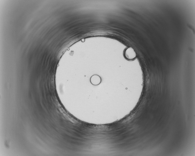 X0000103911417200810171654