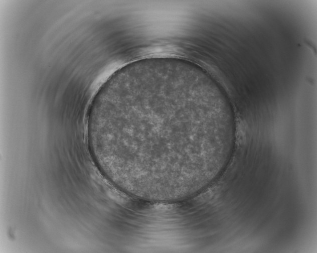 X0000103911419200810171655