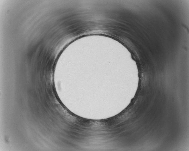 X0000103911420200810171655