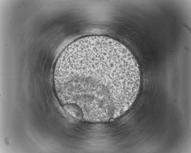 X0000103911421200810171655