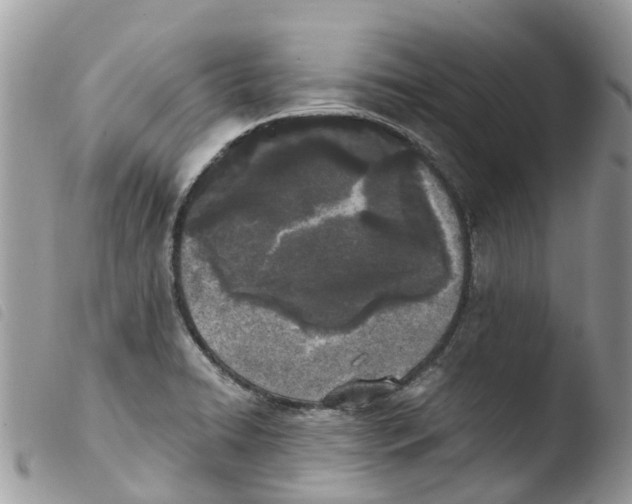 X0000103911422200810171655