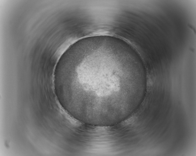 X0000103911423200810171655