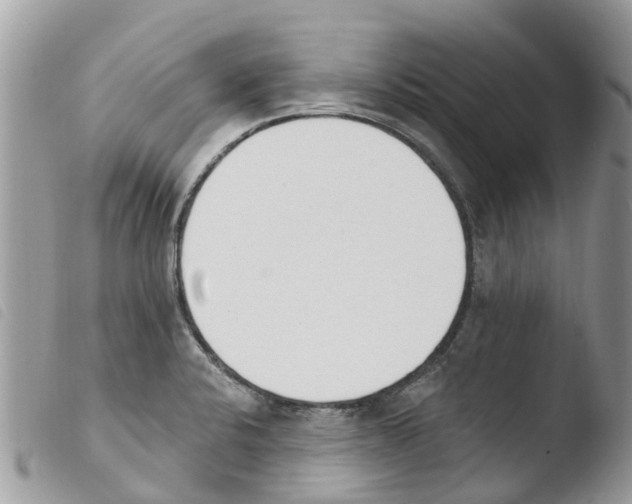 X0000103911424200810171655