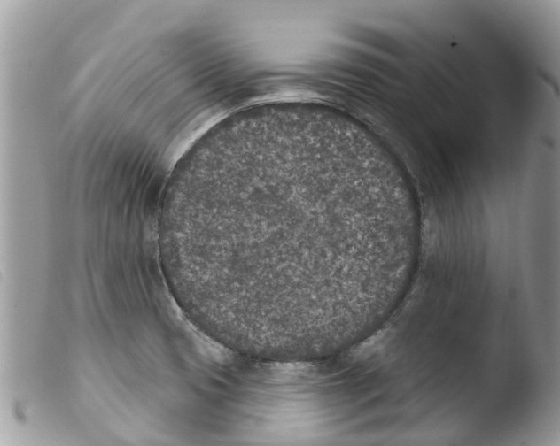 X0000103911425200810171655