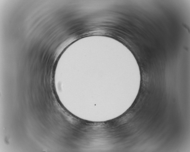 X0000103911426200810171655