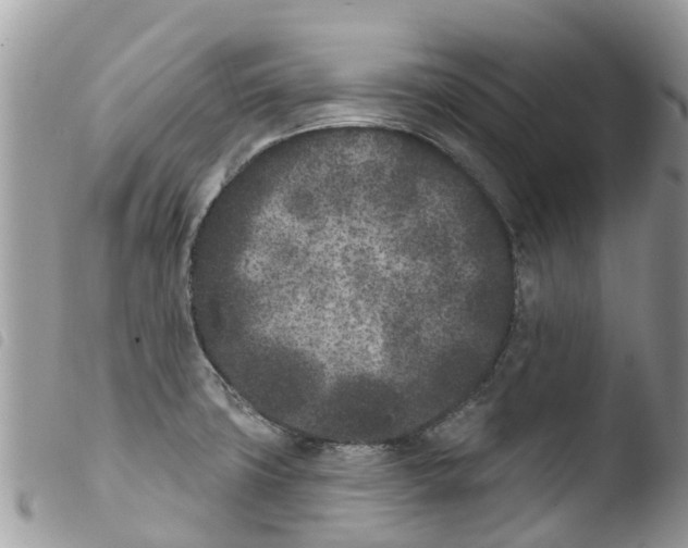 X0000103911427200810171655