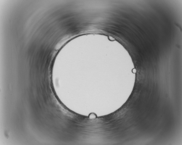 X0000103911430200810171655