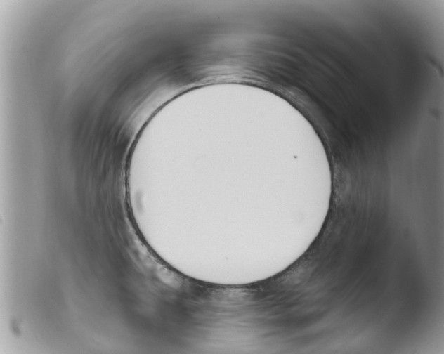 X0000103911431200810171655
