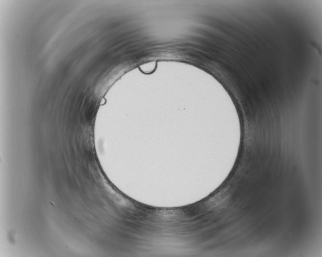 X0000103911433200810171655