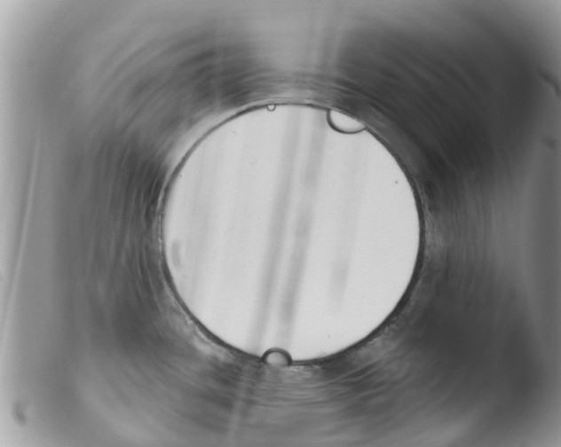 X0000103911436200810171655