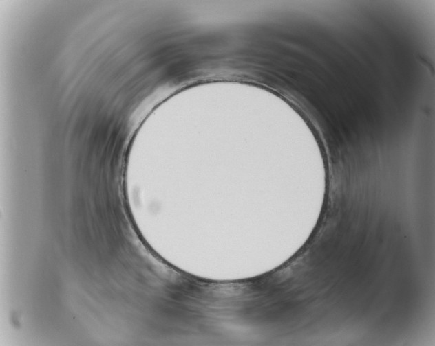 X0000103911437200810171655