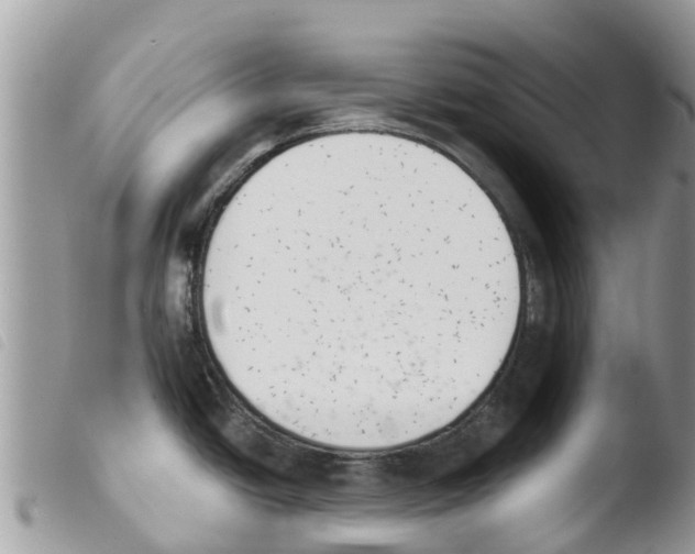X0000103911438200810171655