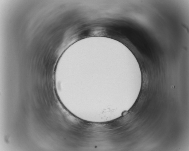 X0000103911439200810171655