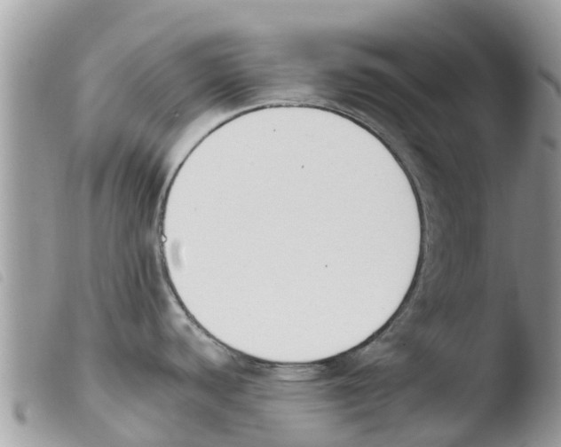 X0000103911440200810171655