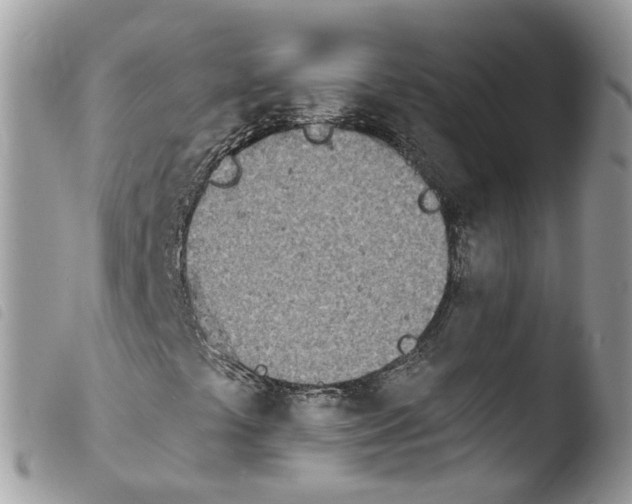 X0000103911441200810171654