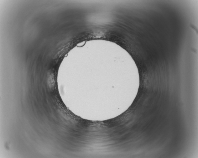 X0000103911442200810171654