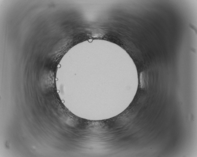 X0000103911443200810171654