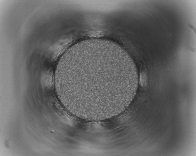 X0000103911444200810171654